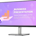 24"	Dell	P2422HE